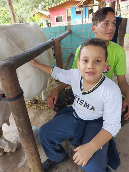 Bicho Mania 2022